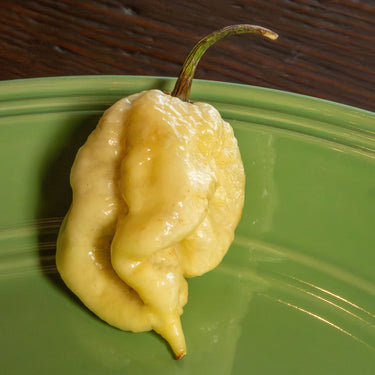 White Moruga Scorpion Pepper Seeds - The Pepper Pantry (Formerly Marie Sharp's)